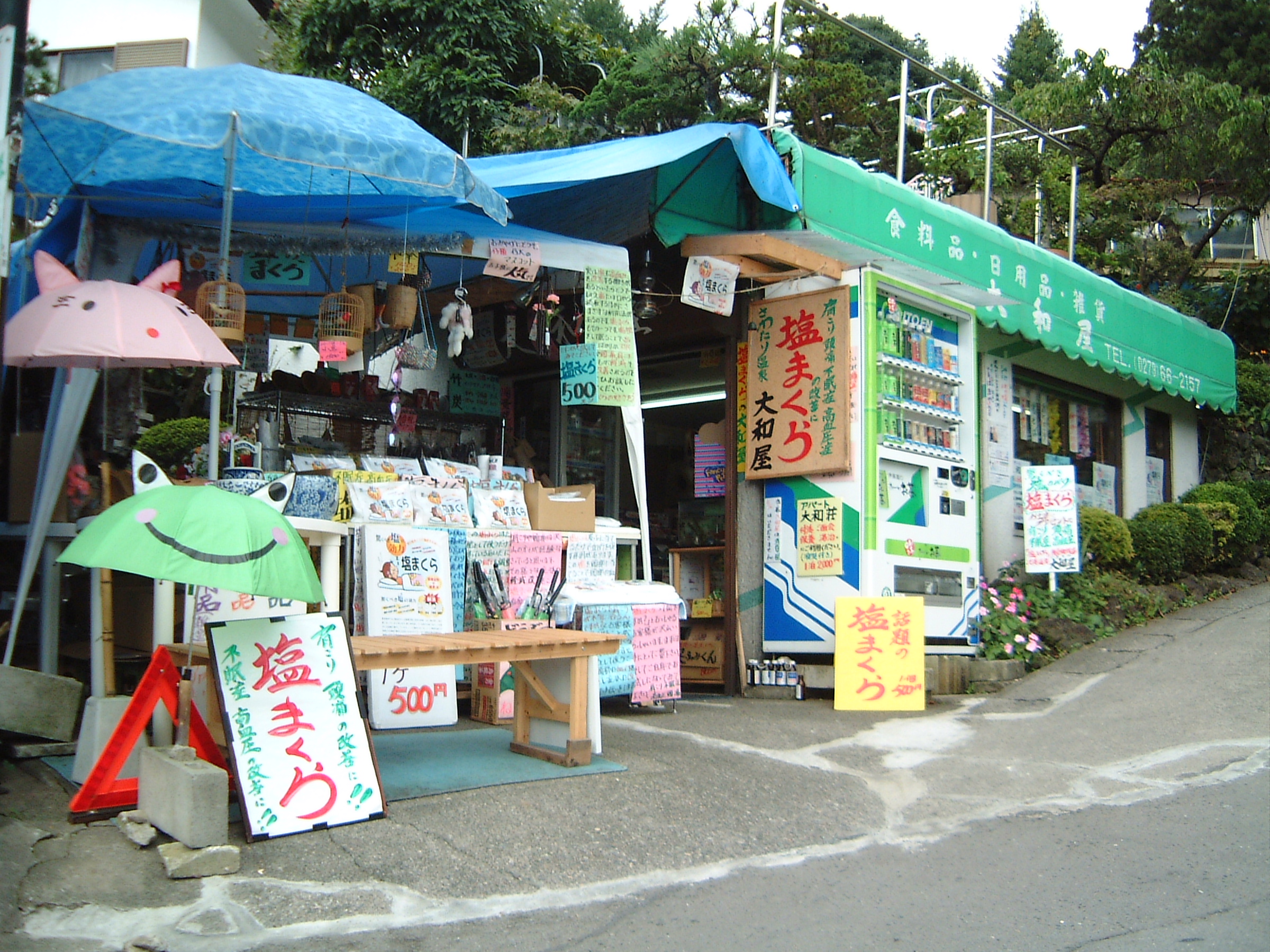 沢渡温泉 大和屋